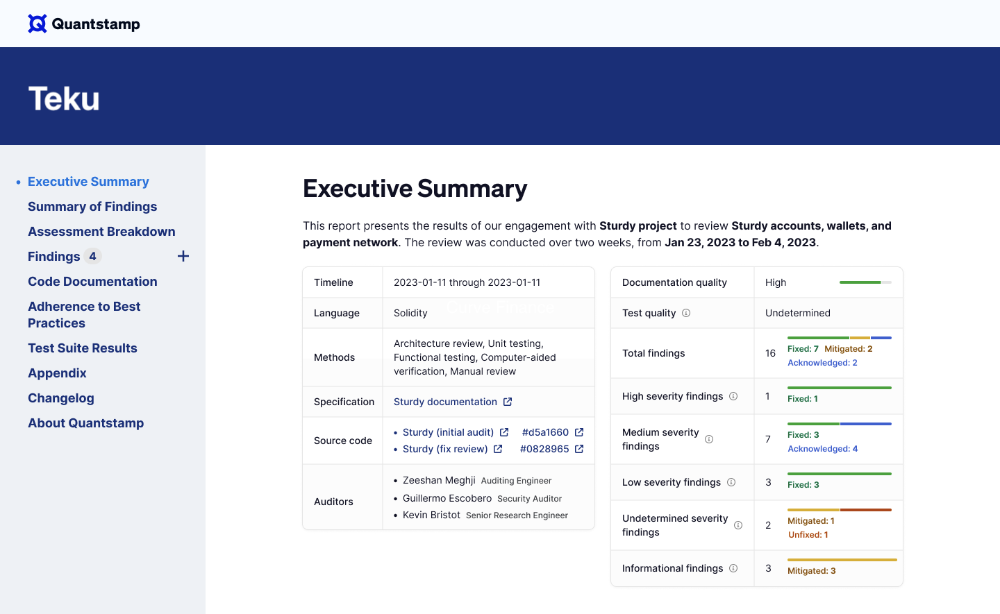 Teku audit report